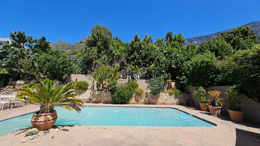 Majestic Mountain Views gallery image 4