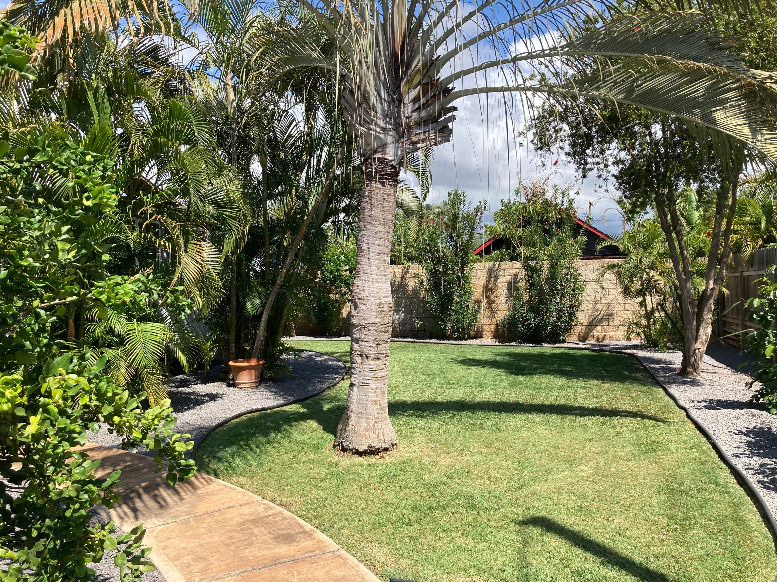 Cozy Beach Cottage, Kihei - One Block to the Beach - Image 20