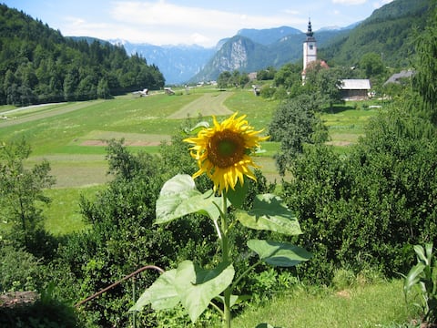 Village House Pr'Kovačo with Piano, Jereka