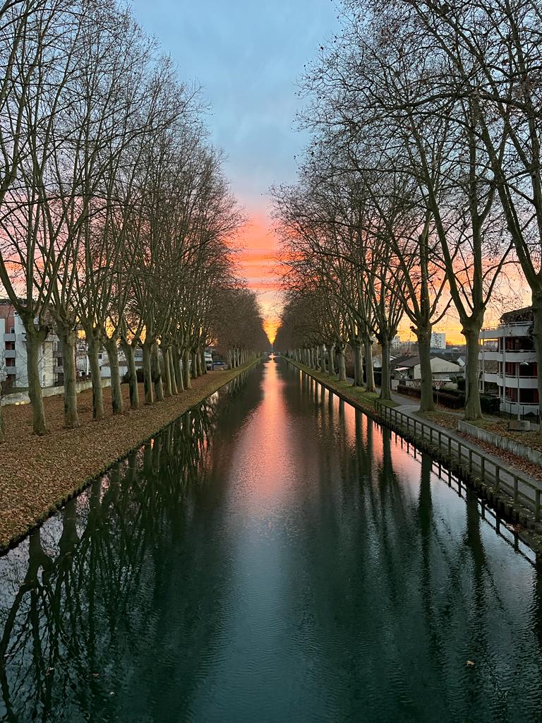 Cuisine / kitchenette