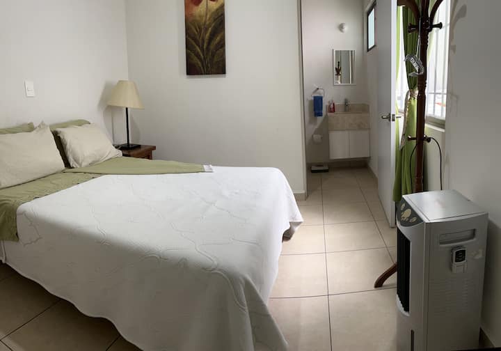 Chambre au rez-de-chaussée avec salle de bain privée