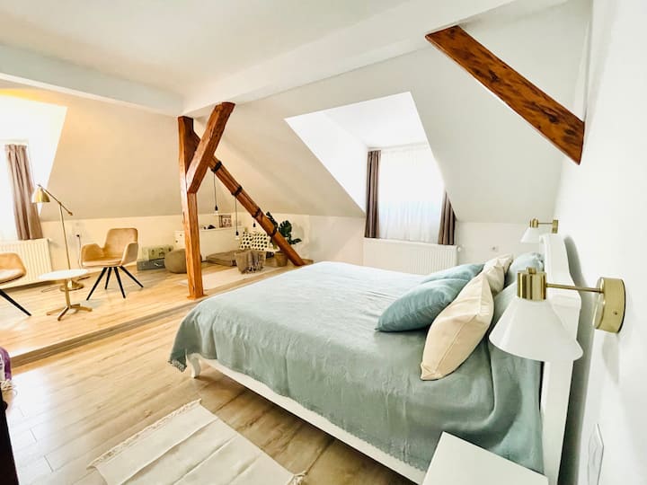 Lovely 1 bedroom rental in the Old Town of Sibiu Flats for Rent in