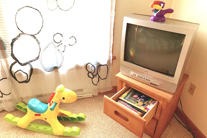 TV with DVD Player and some books for for our young guests