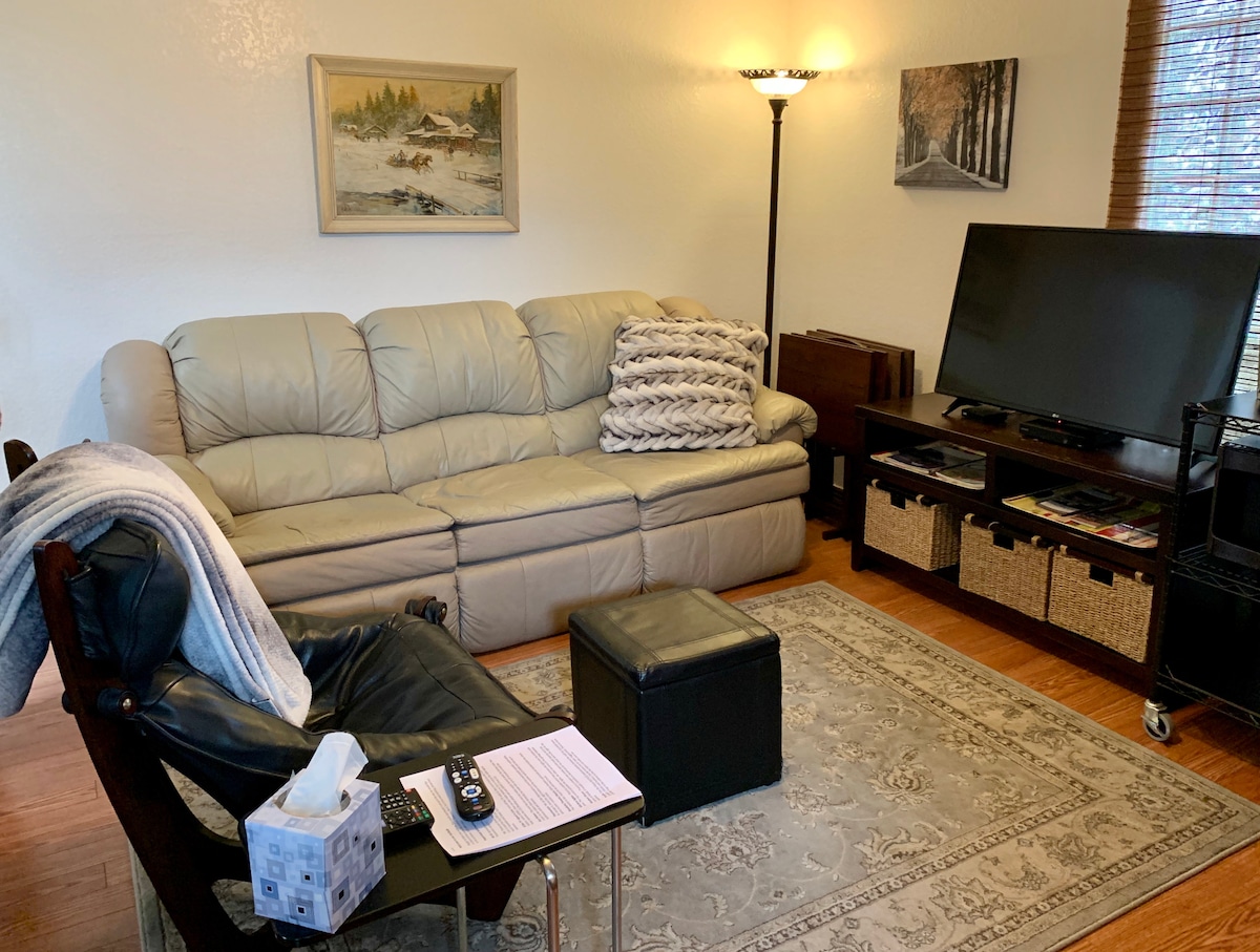 Obývacia izba/obývacia izba. Televízor s veľkou obrazovkou a káblové kanály.