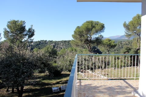 Villa Asounda, La Gaude