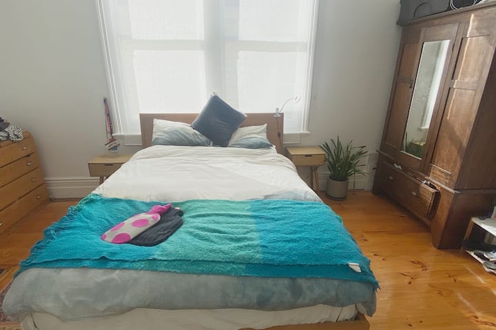 Ова е омилената соба за мачки