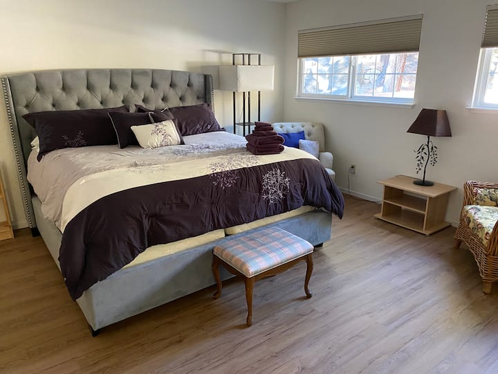 The large master bedroom has an  an adjoining bathroom with a jacuzzi tub.