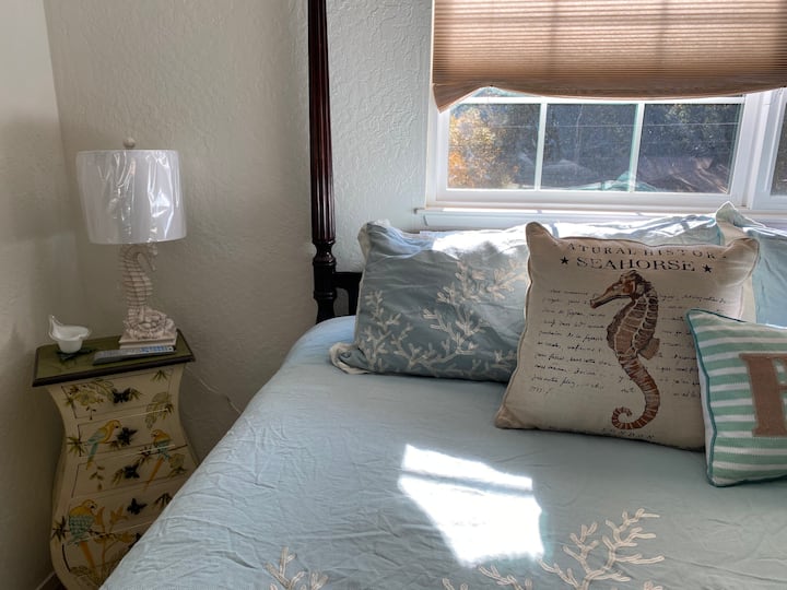 The Seahorse room is the most cozy off all the rooms. 