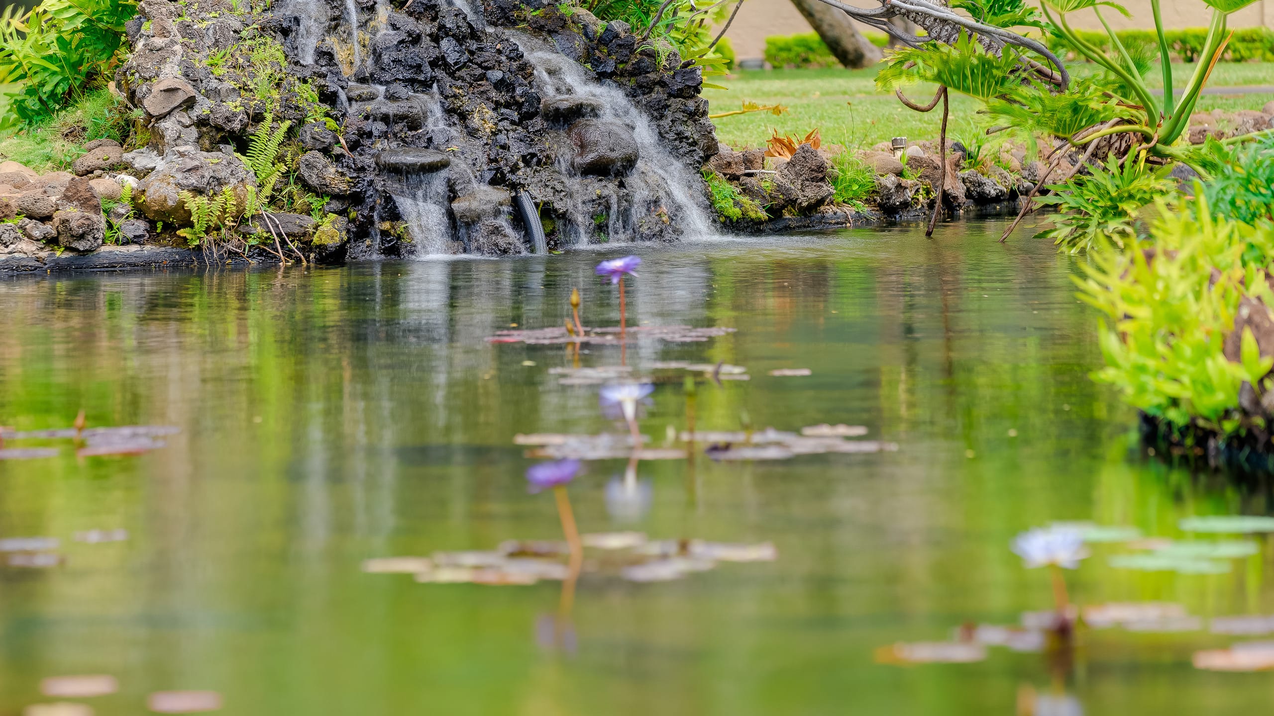 Condo in Lahaina · ★4.97 · 1 bedroom · 1 bed · 1 bath - Image 32