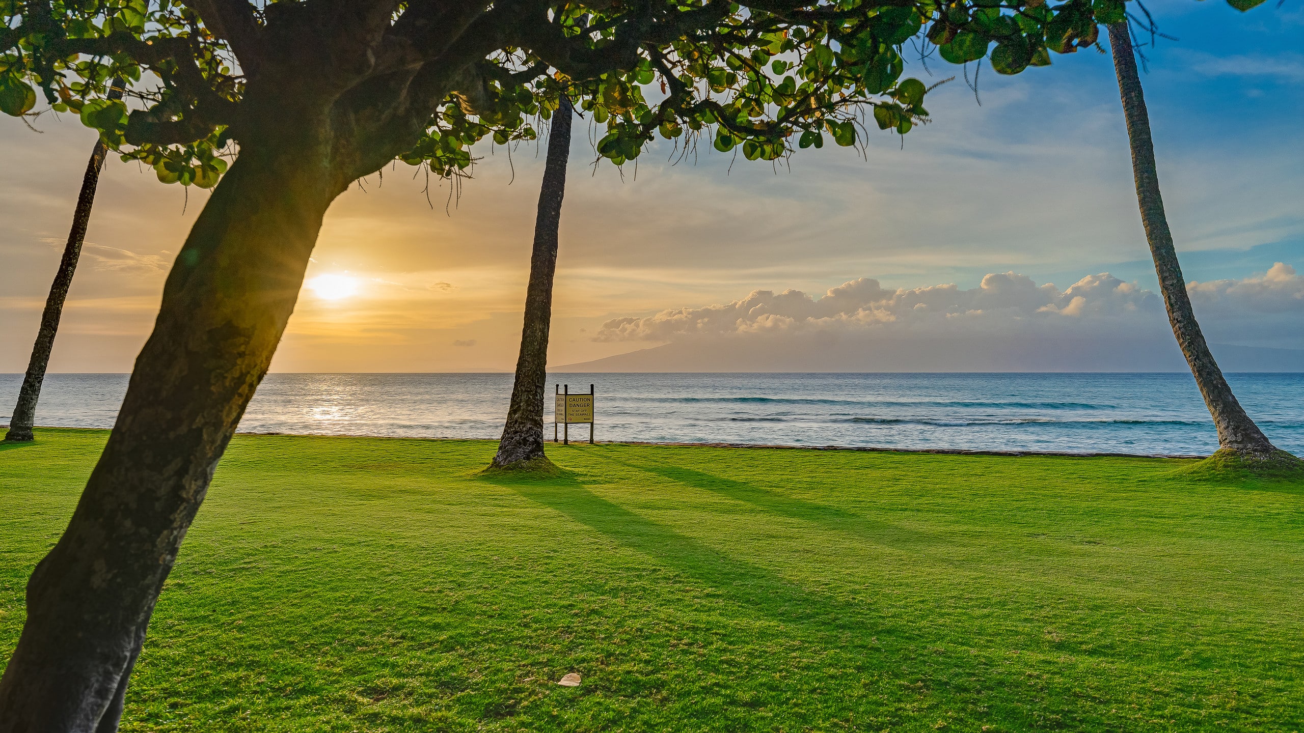 Condo in Lahaina · ★4.97 · 1 bedroom · 1 bed · 1 bath - Image 41