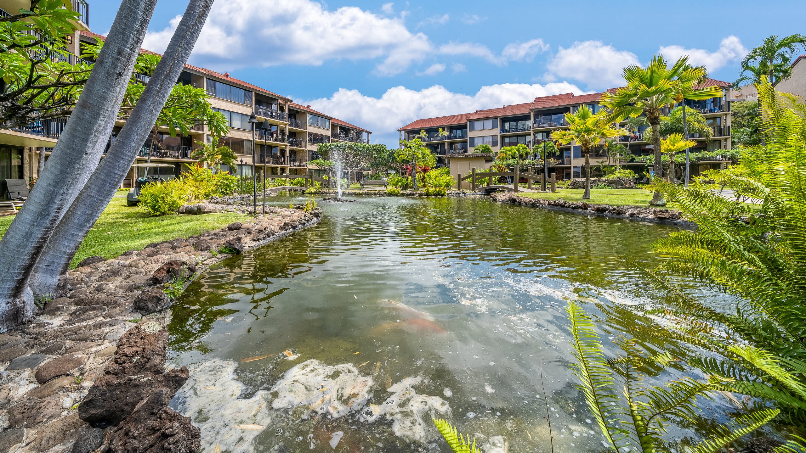 Condo in Lahaina · ★4.97 · 1 bedroom · 1 bed · 1 bath - Image 34