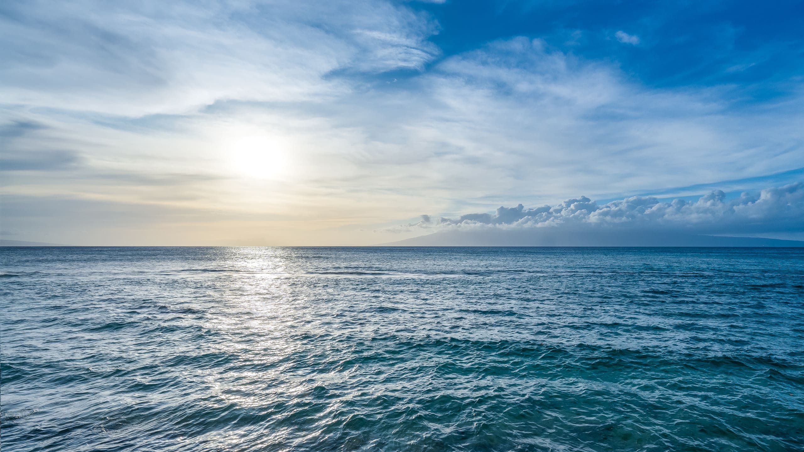Condo in Lahaina · ★4.97 · 1 bedroom · 1 bed · 1 bath - Image 28