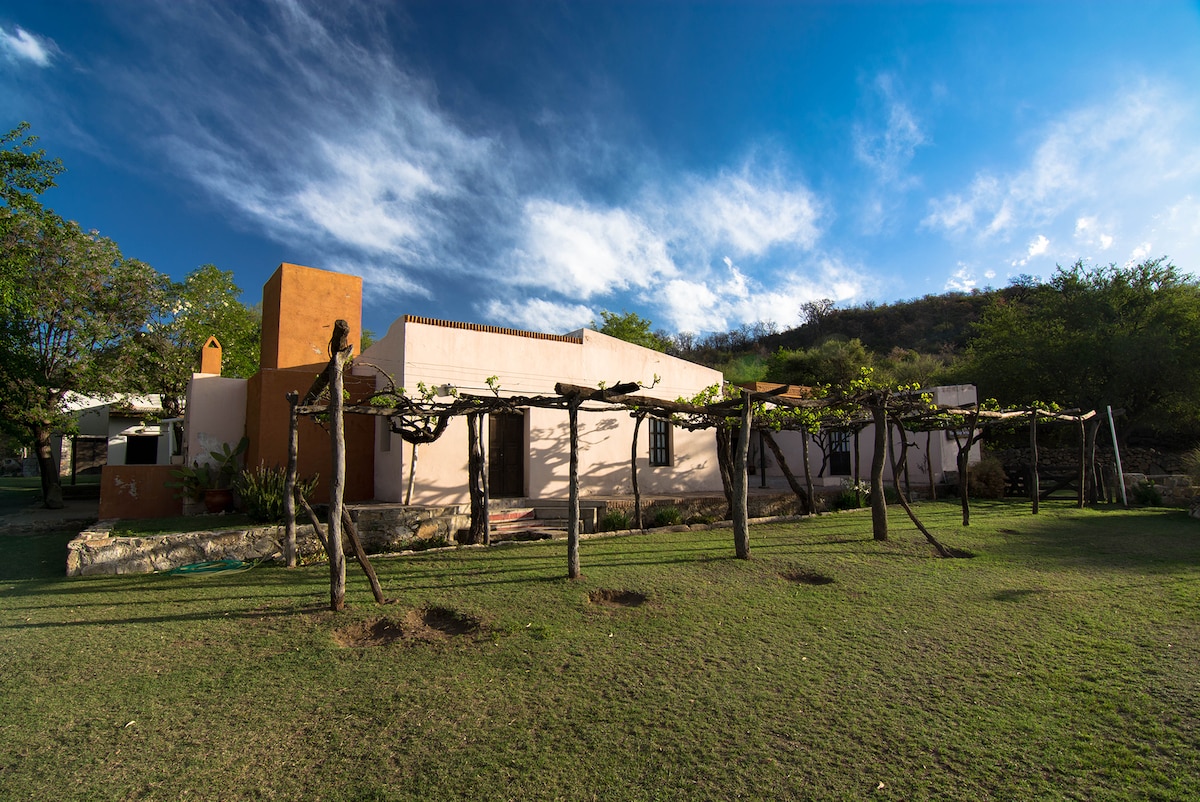 A colonial-style house is set against a bright blue sky. The structure features a light-colored facade with multiple windows, surrounded by a manicured green lawn. Columnar vines are supported by wooden posts, creating natural shade and enhancing the outdoor space.