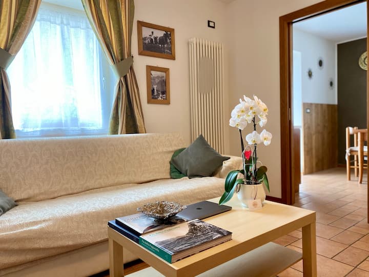 Casa Pallanch - Apartment Dolomia - Andalo