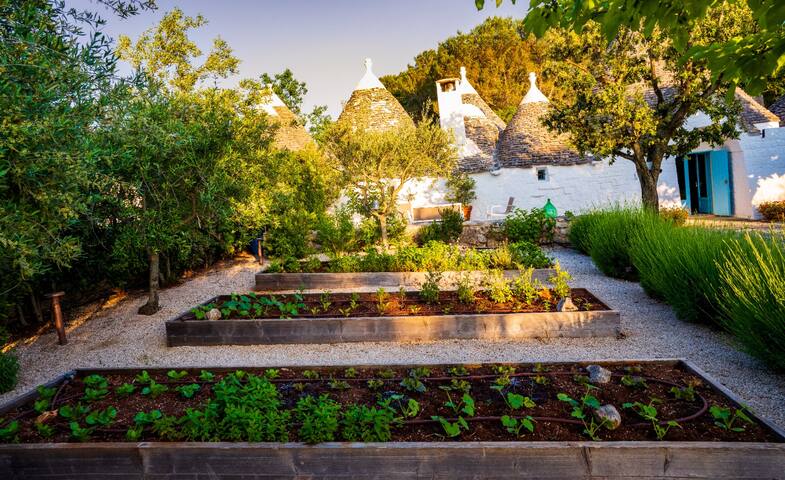 Charming Trullo with private pool and SPA pool gallery image 3