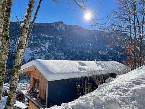 Beautiful chalet close to nature in Valais
