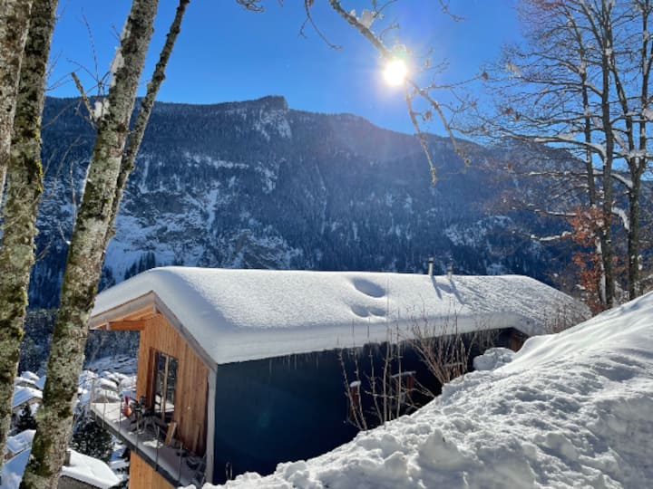 Beautiful chalet close to nature in Valais
