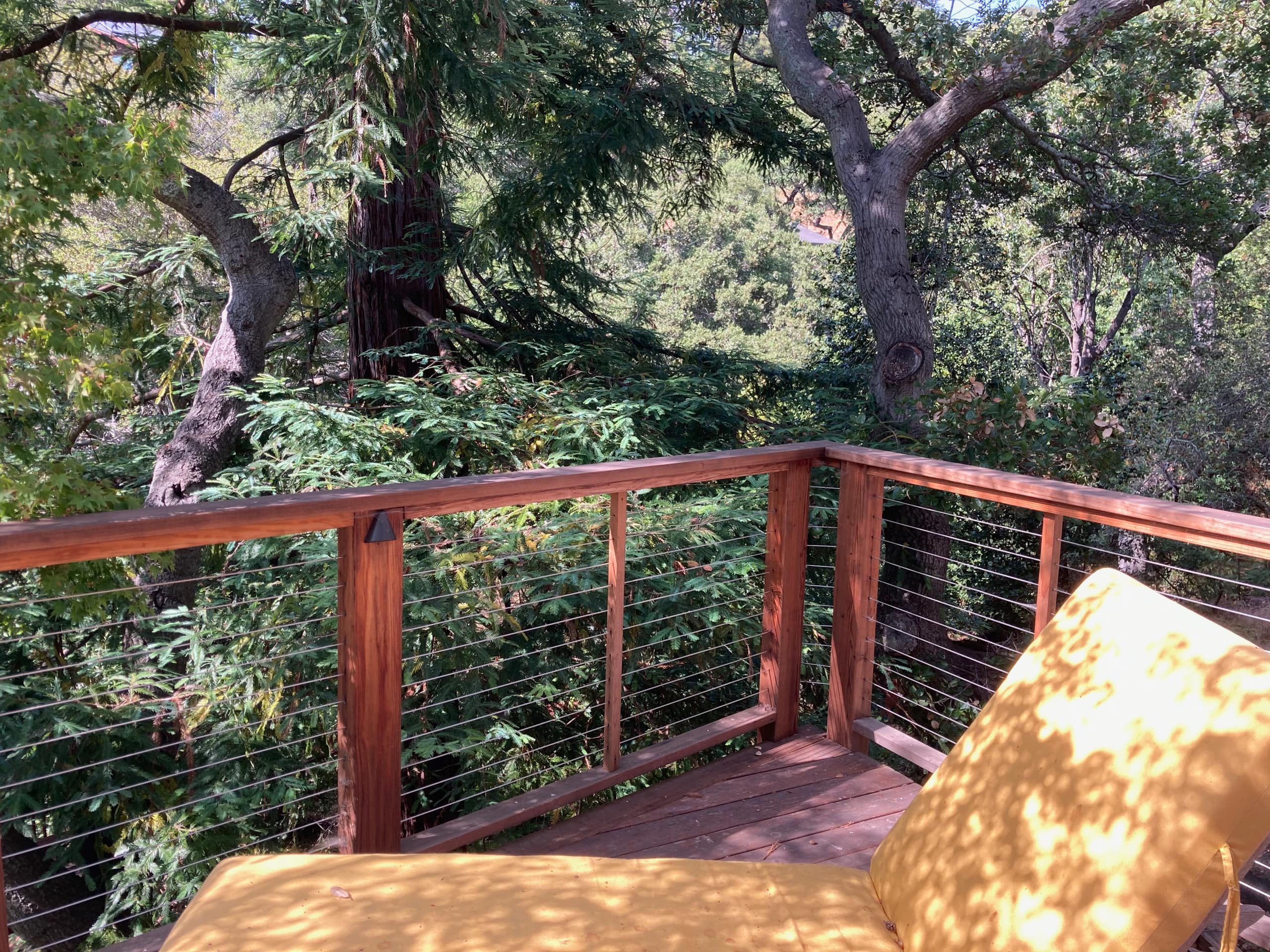 Peaceful North Berkeley in-law overlooking creek - Photo 18