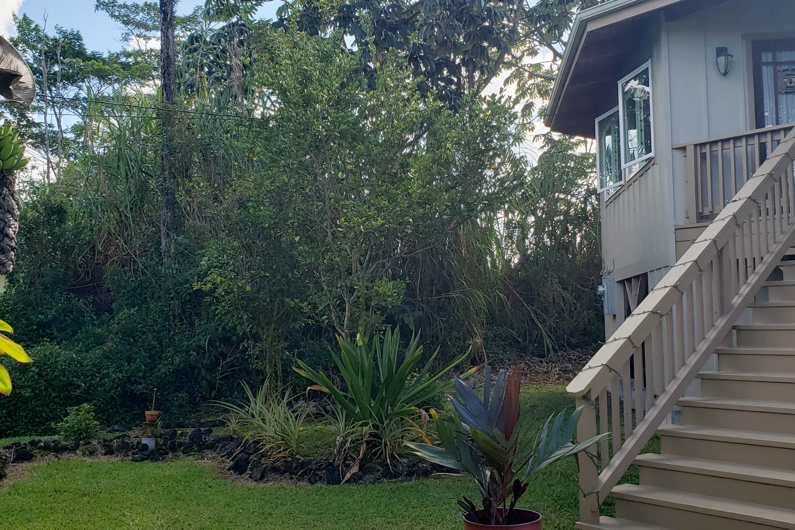 Home in Pahoa · ★4.97 · 2 bedrooms · 2 beds · 1 private bath - Image 34