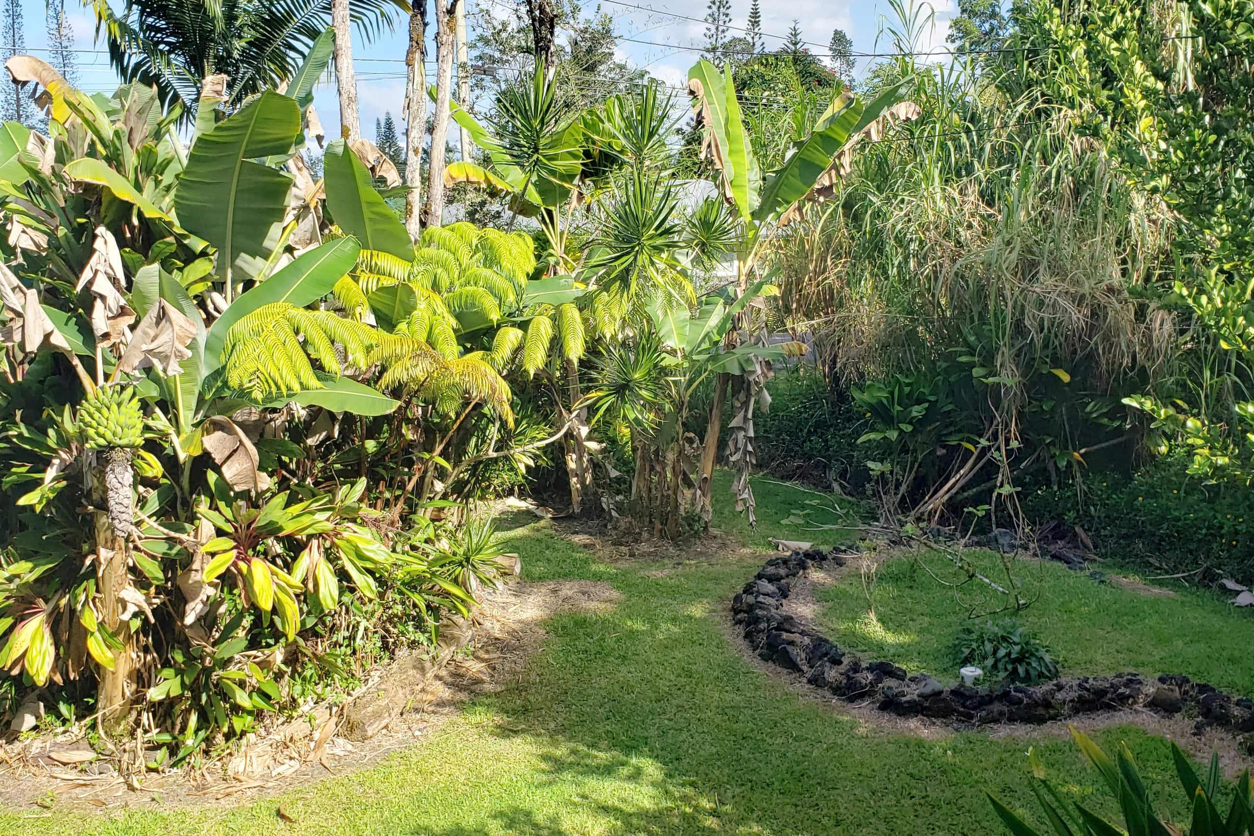 Home in Pahoa · ★4.97 · 2 bedrooms · 2 beds · 1 private bath - Image 33