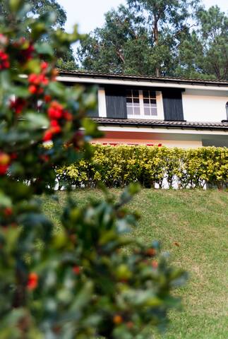 Villa Louise Bilbao gallery image 2