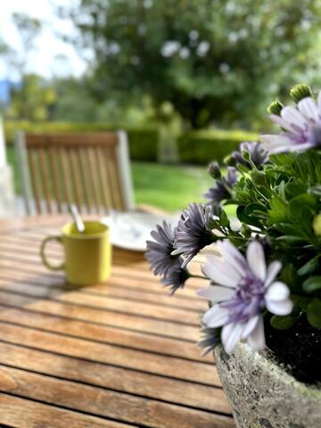 Villa Louise Bilbao gallery image 3