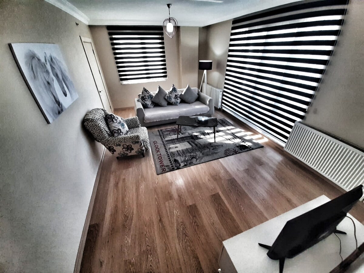A modern living area features a plush gray sofa adorned with decorative pillows. A stylish armchair sits in one corner, accompanied by a sleek coffee table on a patterned area rug. Floor-to-ceiling windows dressed in striped shades allow natural light to fill the room.