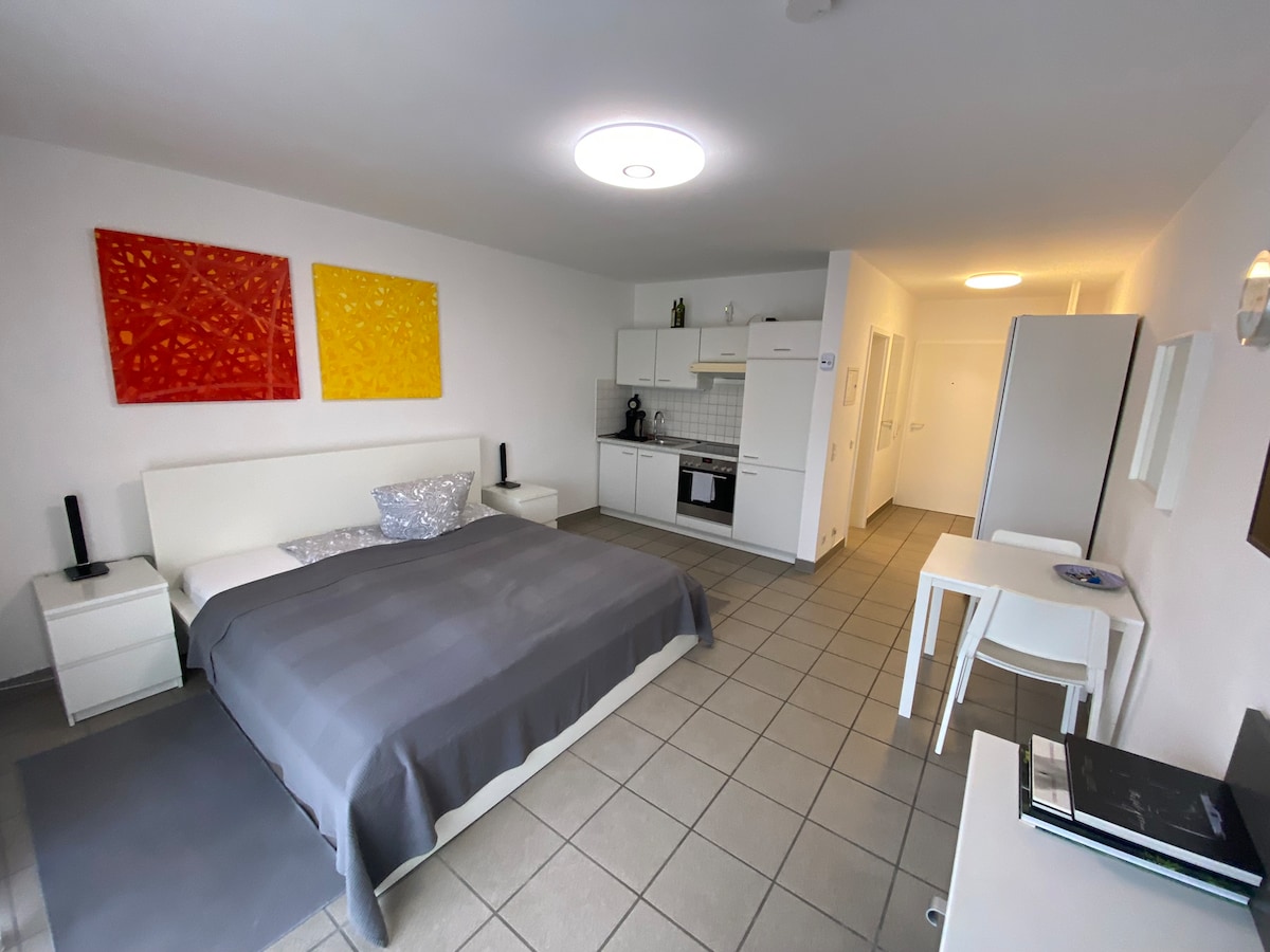 A modern studio apartment features a spacious bed dressed in gray bedding, complemented by colorful artwork on the white walls. A fully equipped kitchen is visible in the background, with dining space for two. Natural light illuminates the open layout, enhancing the neutral decor.