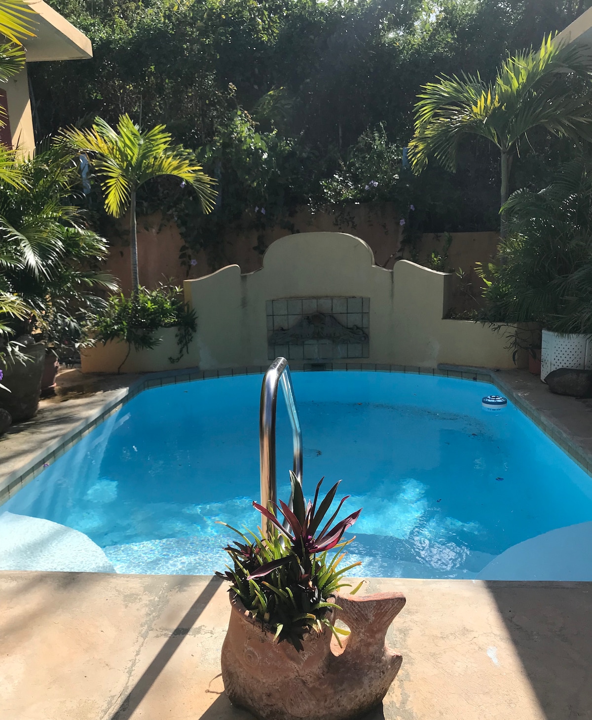 A private dipping pool is surrounded by lush tropical vegetation, featuring a smooth stone decking. A decorative planter with vibrant plants is positioned at the pool's edge, while a gentle light reflects off the clear blue water.