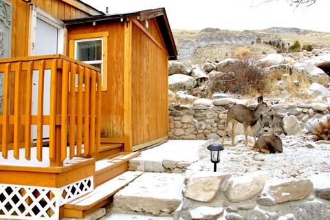 Yellowstone's Treasure Cabin #3 in Gardiner, MT