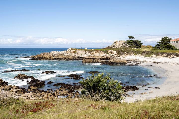 Spectacular Award Winning Ocean Front 2 Bed 2 Bath gallery image 5