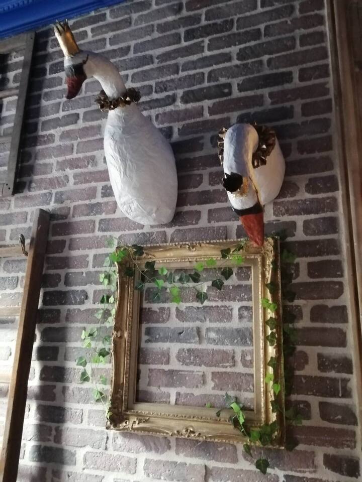 La Chambre de Peau d'Ane...