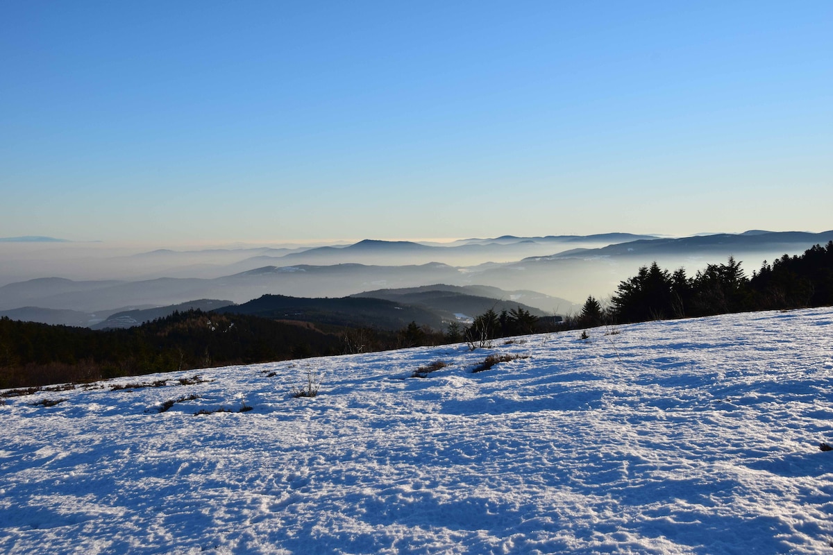 A serene winter landscape is captured, showcasing a vast expanse of snow-covered terrain. Rolling hills are visible in the distance, partially shrouded in mist. The clear blue sky complements the tranquil scene, highlighting the natural beauty of the surrounding mountainous region.