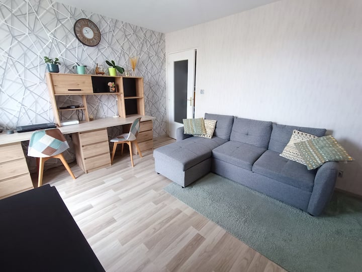 T2 Avec Balcon~calme Et Confort - Hotel Ibis Budget Nancy Centre