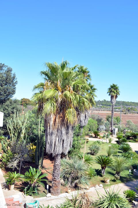 Popular Airbnb listing: Villa Anna in Casarano