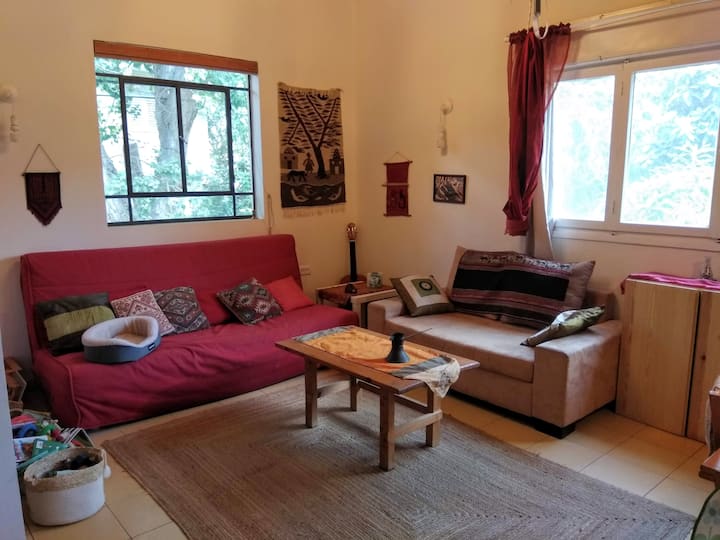 Special House in the center of Pardes Hana Houses for Rent in Pardes HannaKarkur, Haifa