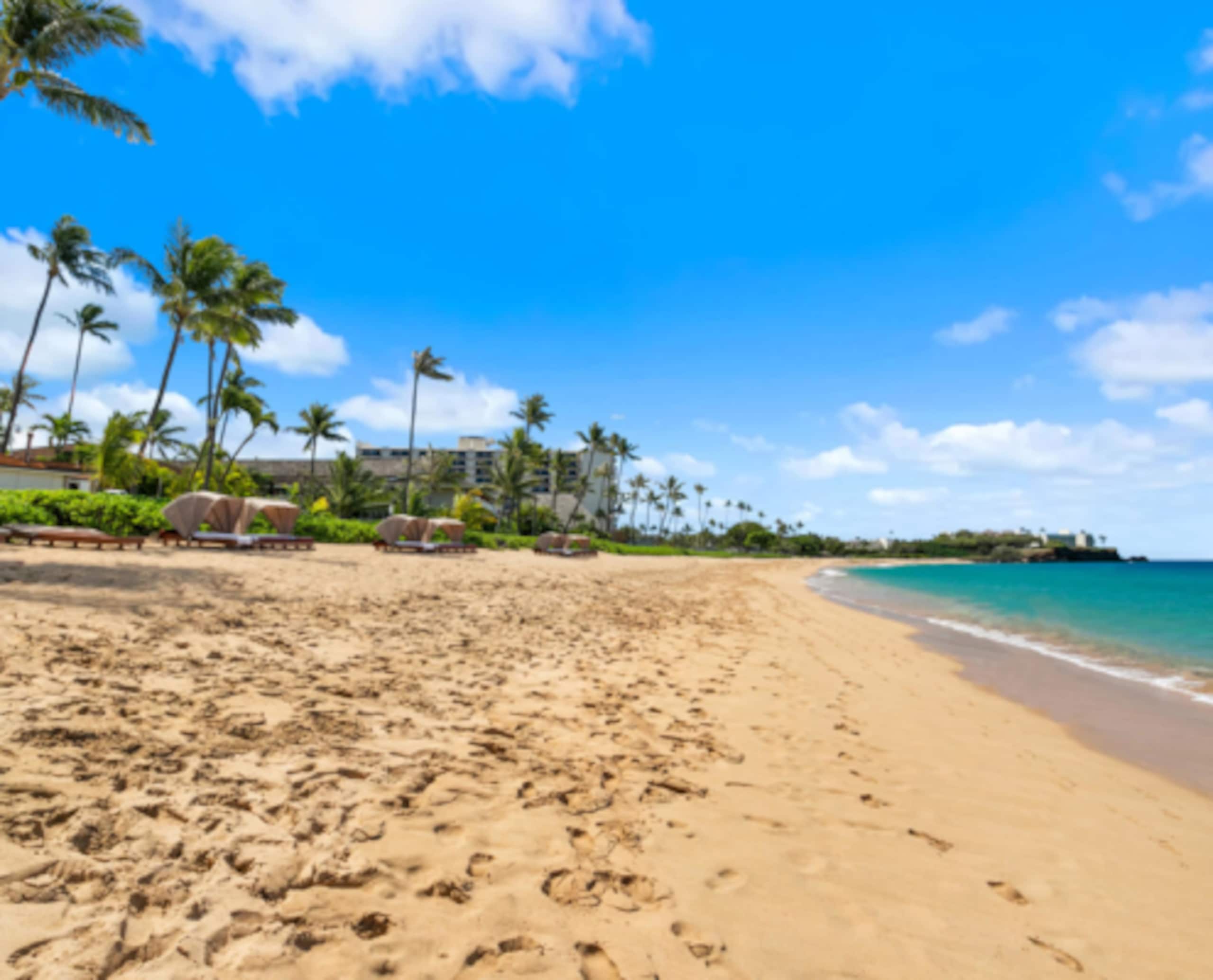 Condo in Lahaina · ★4.88 · 1 bedroom · 2 beds · 1 bath - Image 8