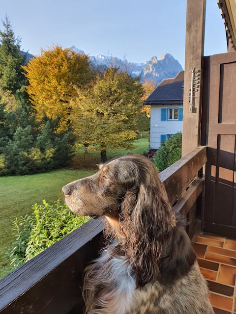 Top performing Airbnb: Apartment Nowotschin in Garmisch Partenkirchen