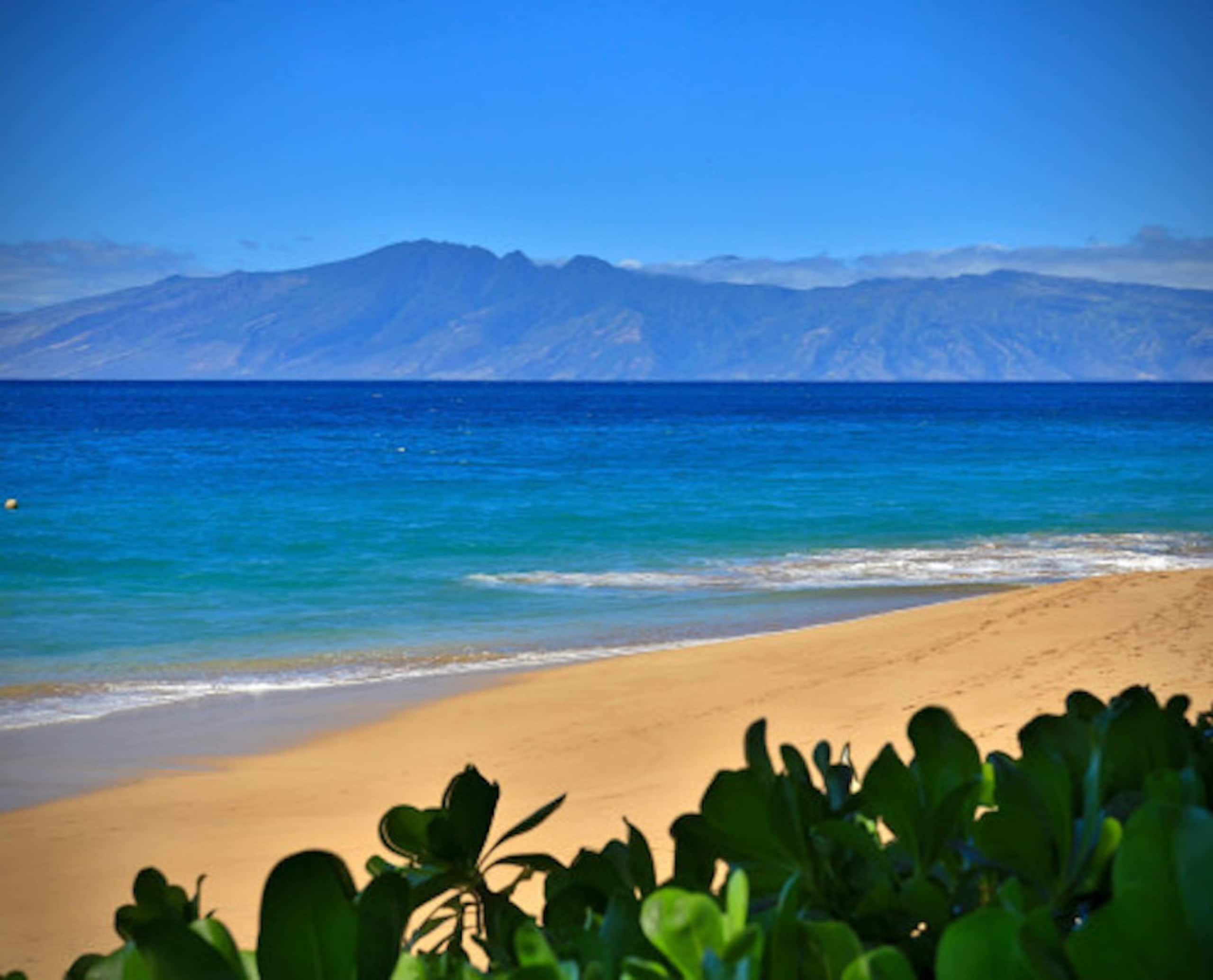 Condo in Lahaina · ★4.94 · 1 bedroom · 2 beds · 2 baths - Image 5