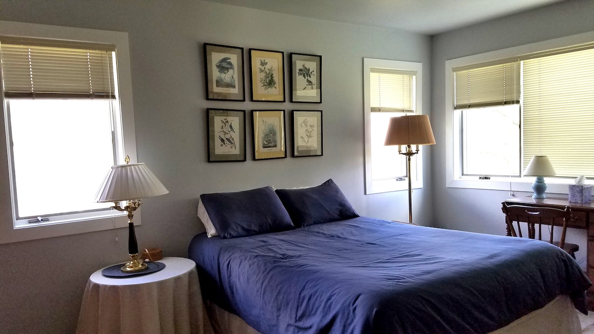 A bright bedroom features a spacious bed adorned with navy bedding. Framed botanical prints hang on the light-colored walls, while natural light enters through two windows with blinds. A small table with a lamp and a wooden chair complete the calming setting.