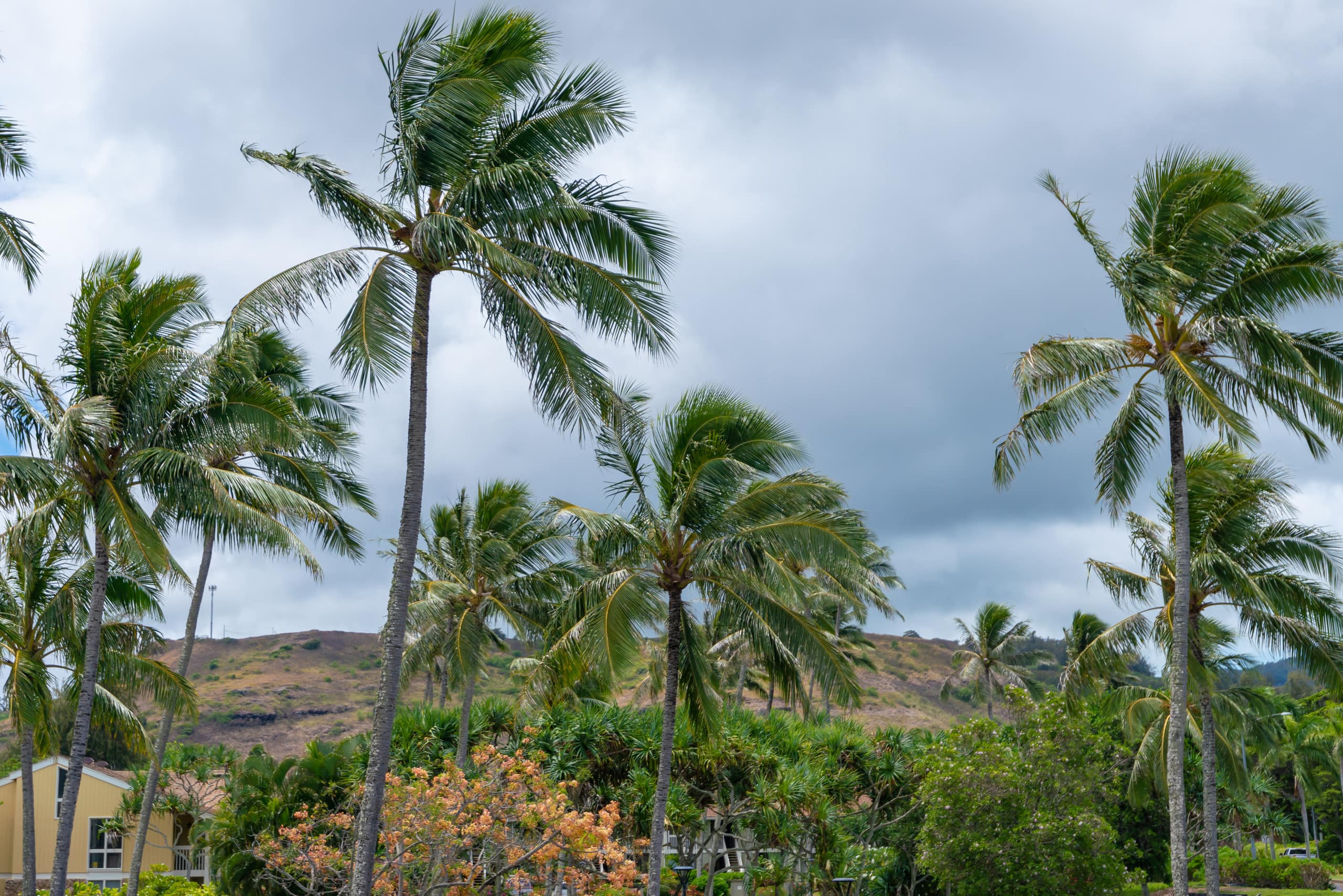 Condo in Kahuku · ★4.86 · 2 bedrooms · 3 beds · 2 private baths - Image 16