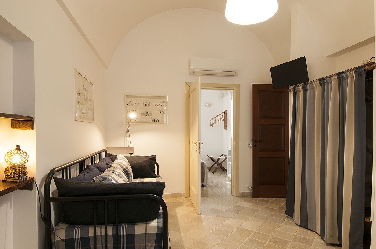 סלון עם ספה נפתחת.