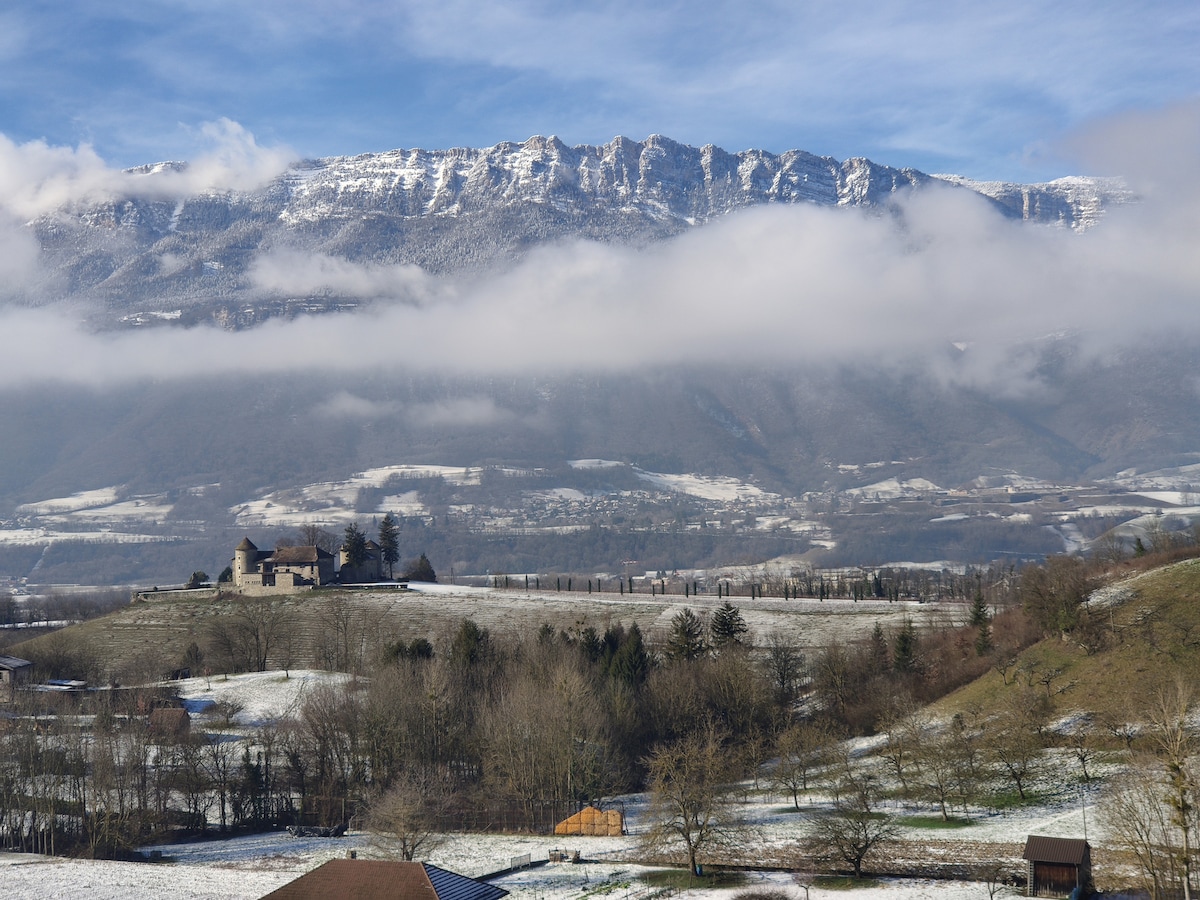 Snow-capped mountains rise majestically in the background, surrounded by soft clouds. In the foreground, a serene landscape of green and white fields unfolds, dotted with trees. A charming stone house is nestled in the valley, blending harmoniously with the tranquil scenery.