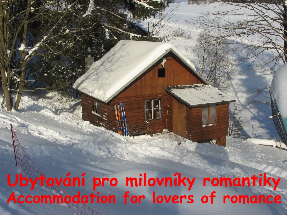 A rustic wooden cabin is nestled in a snow-covered landscape, featuring a sloped roof and small overhangs. Ski equipment leans against the side. The surrounding trees add to the secluded feel, providing a peaceful retreat atmosphere.