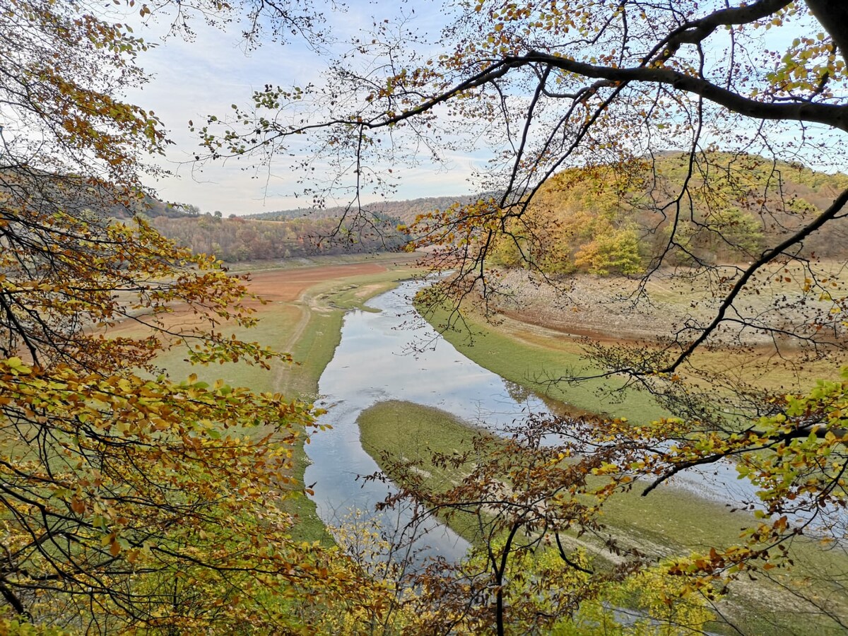 A serene landscape is captured through branches adorned with autumn foliage, revealing a winding river. Its gentle curves flow through green meadows and reflecting water, surrounded by rolling hills in warm hues of fall. A tranquil scene of nature's beauty is presented.