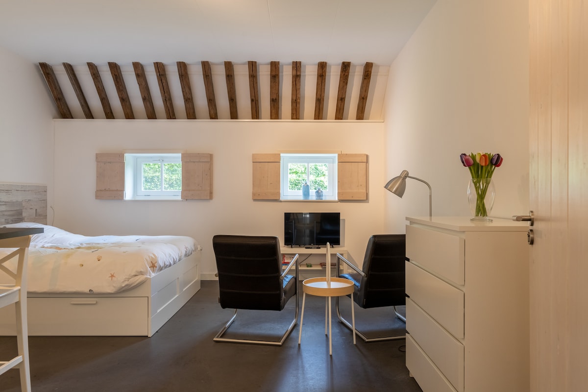 Popular Airbnb listing: Iselmarpleats Comfortable Studio with Bathroom in Gaast