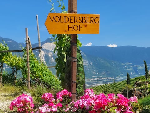 House in the vineyard - Voldersberghof "Sauvignon"