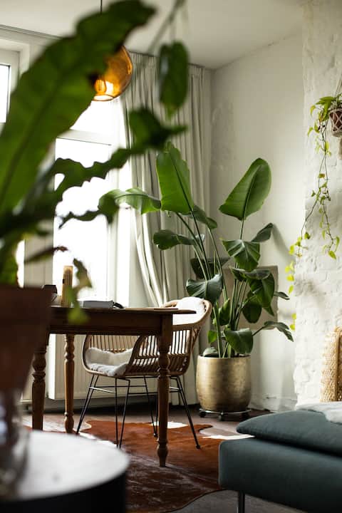 Popular Airbnb listing: The Green Studio Ghent in Gent