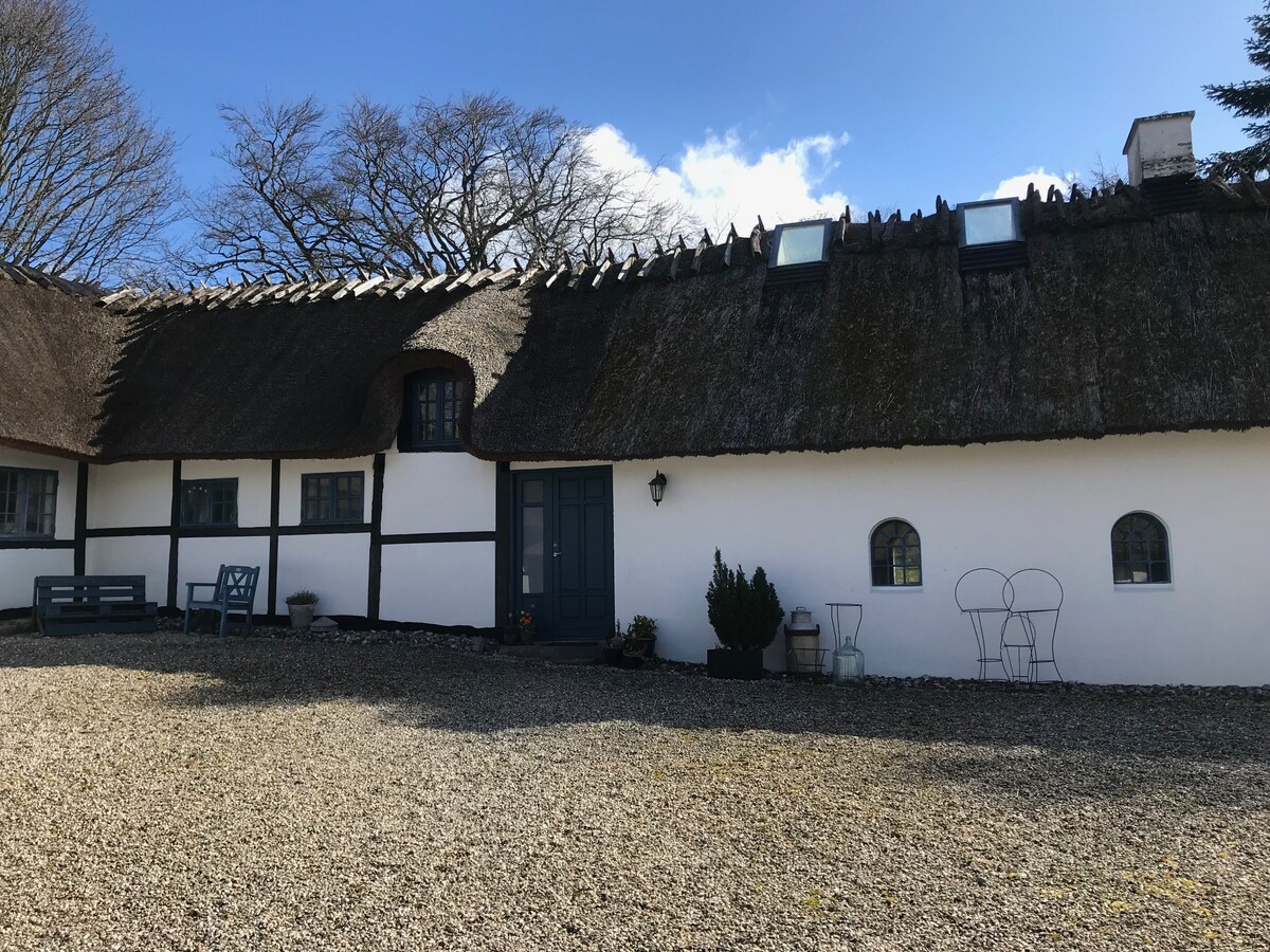 A charming thatched-roof building features a white exterior with dark wooden accents. Two small round windows and a blue door provide unique architectural details. A seating area with a bench is visible, surrounded by a gravel pathway and greenery.