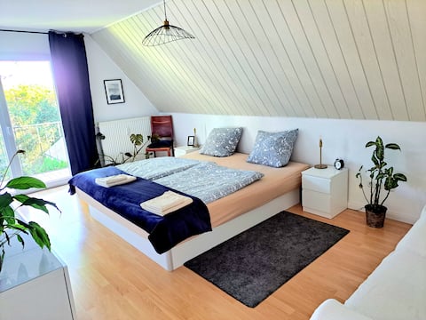 Spacious Apartment near Hamburg, Netflix/Prime